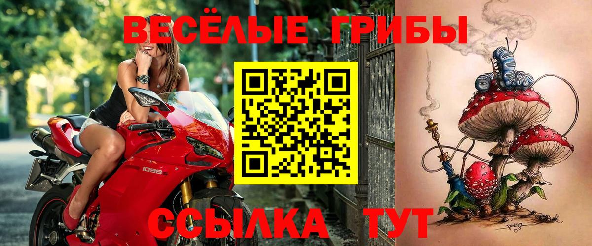 Калуга  Галлюциногенные грибы ЛСД  Вход с VPN 